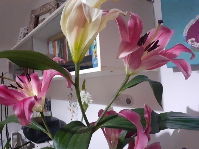 Ritorno A Casa Panzió Róma Kültér fotó